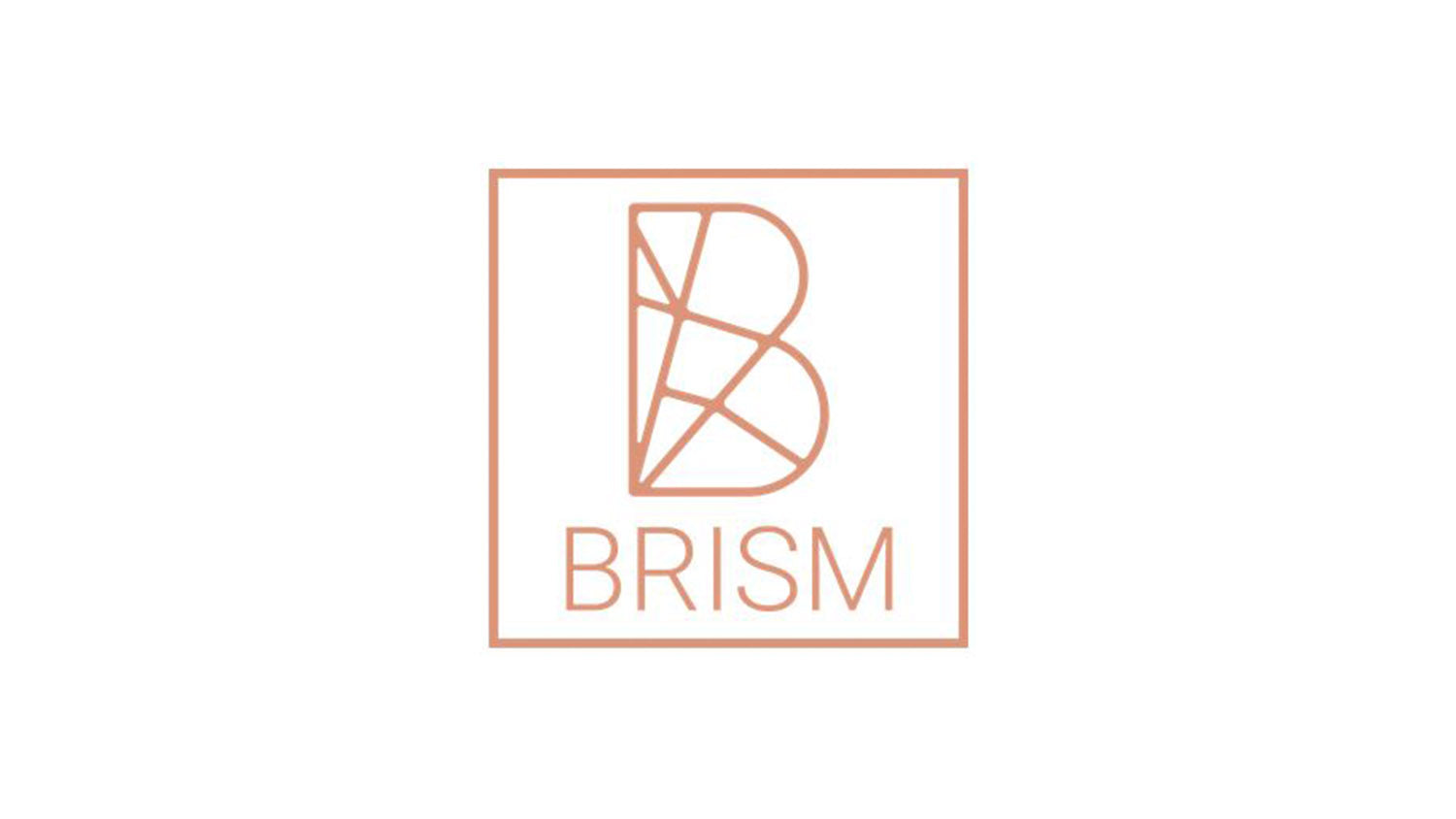 BRISM