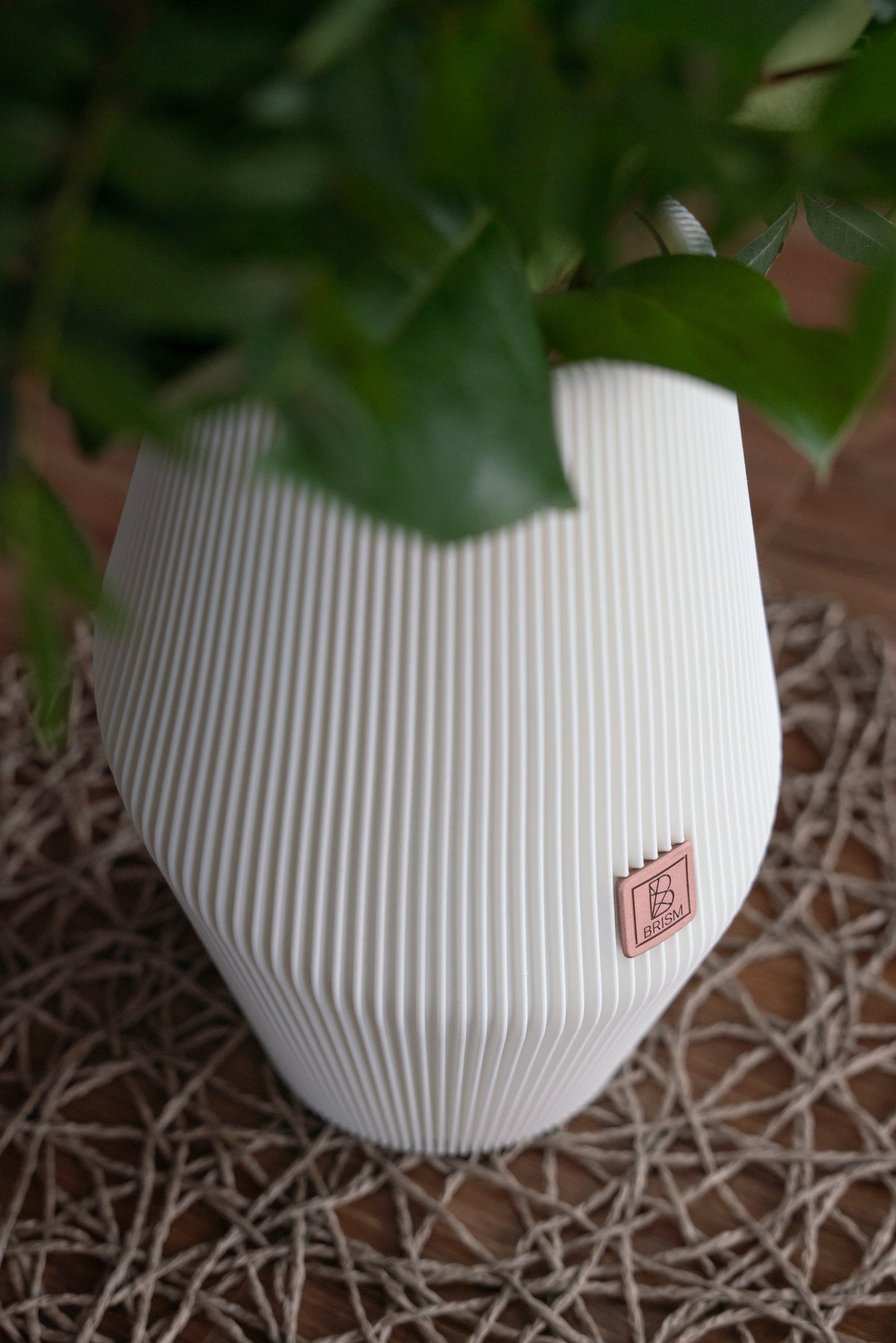 Vase Enfolded
